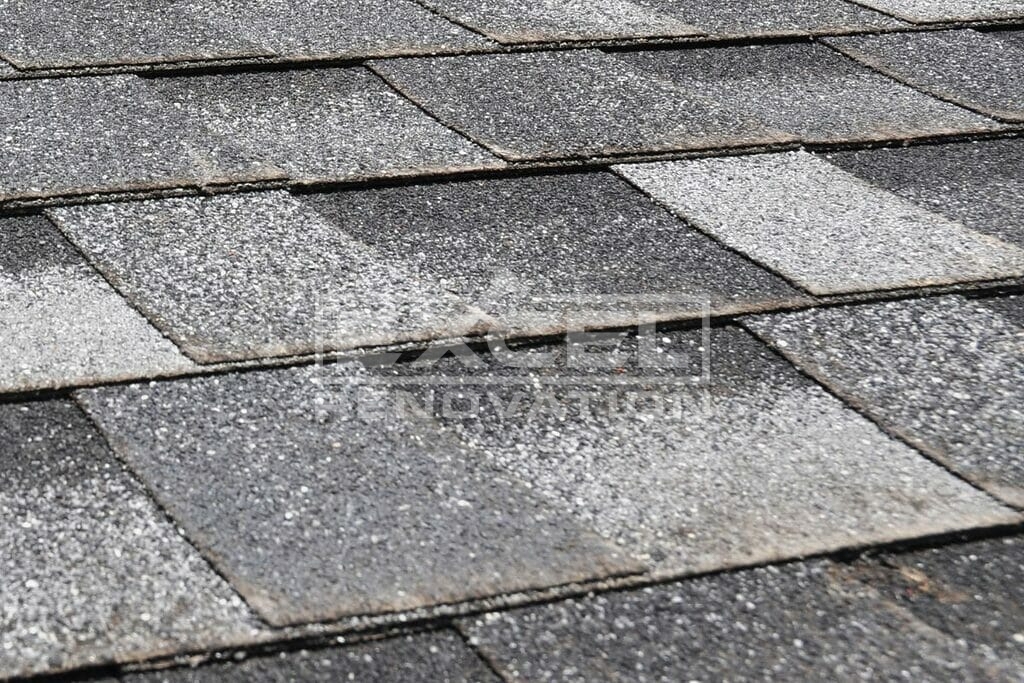 Hail Damage On Asphalt Shingles: Pictures, Signs, & Repairs 2 Granule Loss on shingle