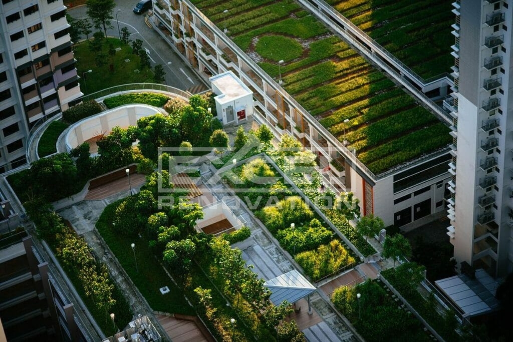 Profitable Apartment Roofing Practices for Repair & Replacement 3 apartment with green roof