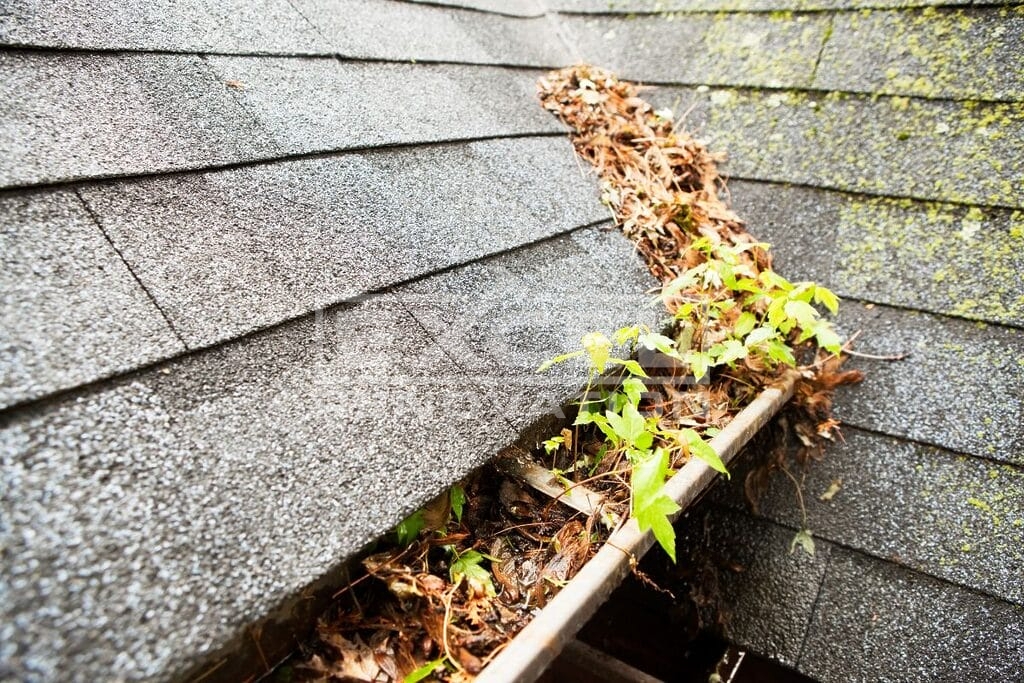 Fix Water-Damaged Siding & 3 Ways To Prevent It 2 Clogged Gutters